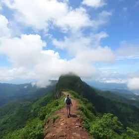 ecoturismo no litoral norte