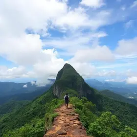 reabertura da trilha do Pico do Corcovado
